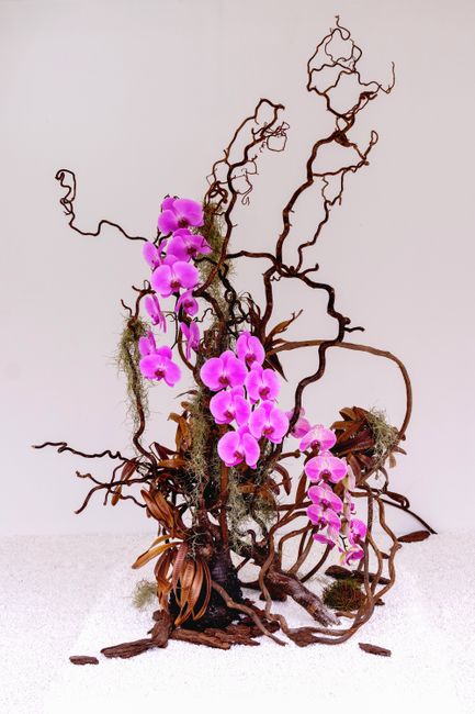 Cascade Orchid Arrangement